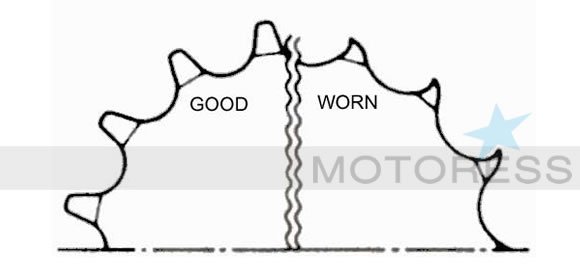 Motorcycle Chain Maintenance on MOTORESS