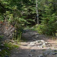 Misery Bay Hiking Trail