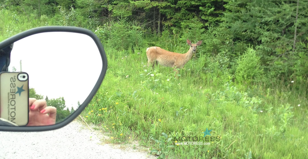 Ride Manitoulin Island by Motorcycle - Vicki Gray - MOTORESS