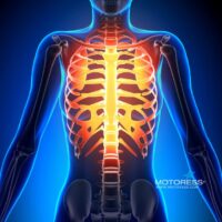 Ride Longer, Ride Stronger: Bone Health Tips for Women Riders -MOTORESS