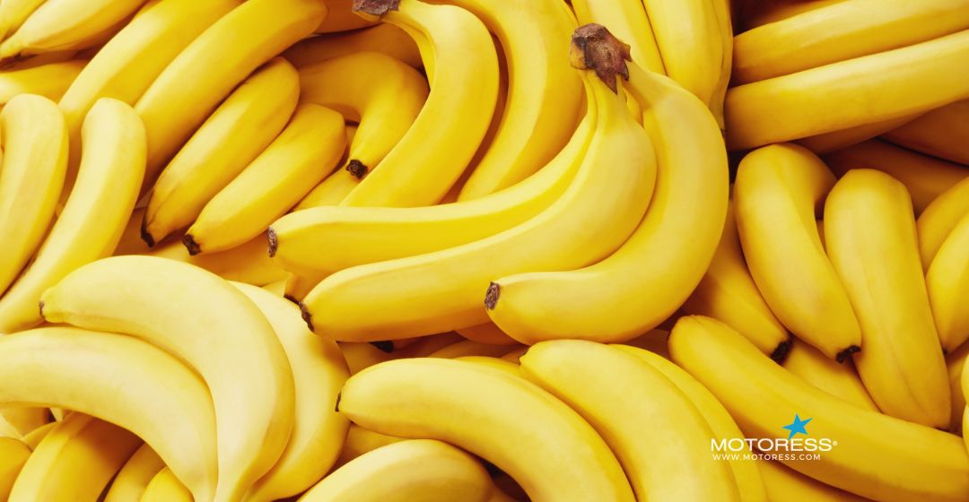 Best Foods to Prevent Bloating on a Motorcycle Ride - MOTORESS