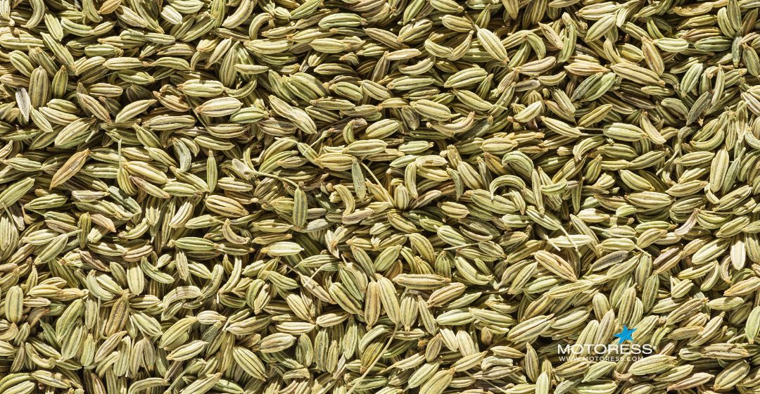 Best Foods to Prevent Bloating on a Motorcycle Ride - MOTORESS