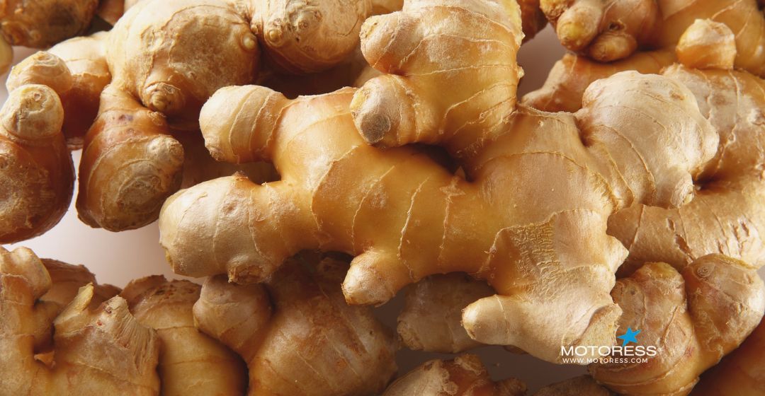 Best Foods to Prevent Bloating on a Motorcycle Ride - MOTORESS