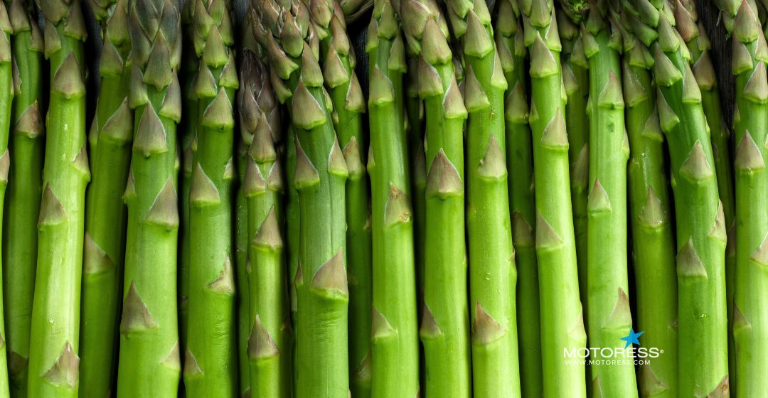 Best Foods to Prevent Bloating on a Motorcycle Ride - MOTORESS