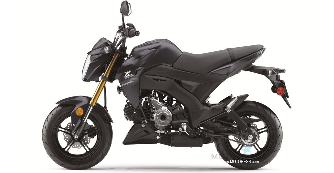 Kawasaki Z125 PRO 2020 - MOTORESS