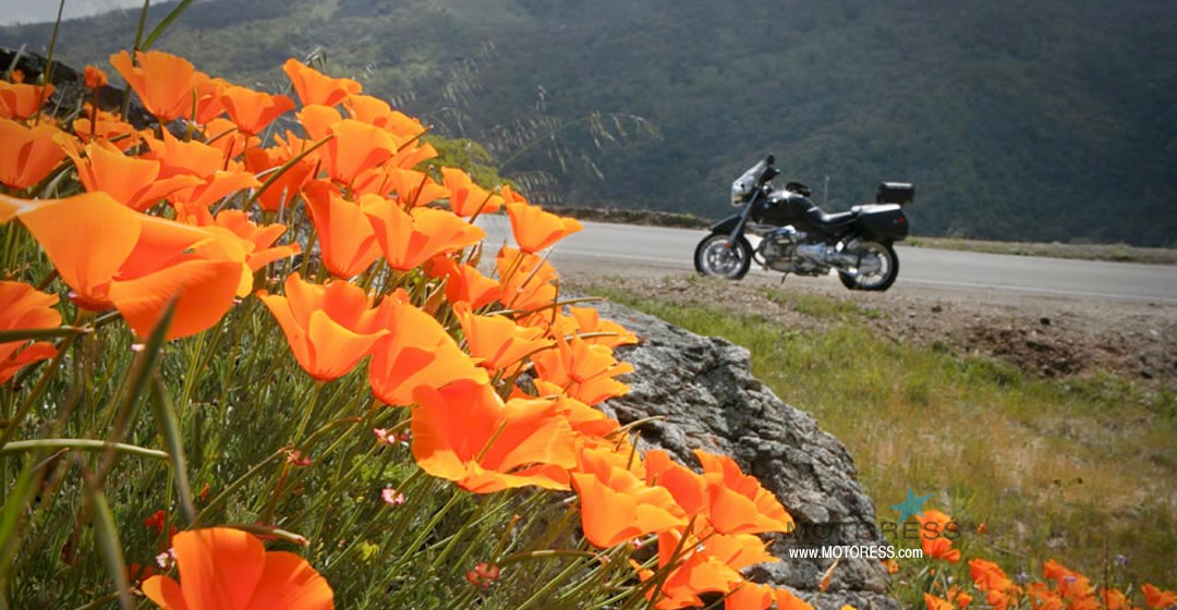 Best Ride Ready Tips to Start Your Motorcycle Riding Season Right - MOTORESS